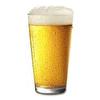 domace_pivo.jpg