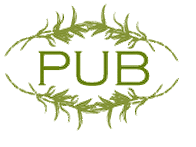 pub.gif